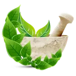 HK Homeopathy icon