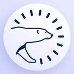 PolarPulses icon