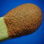 MACRO EXTREMO FOTOS icon