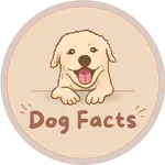 Dog Facts icon