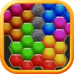 Perfect Fit Block Puzzle icon