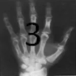 MANUAL RADIOLOGIA 3 icon