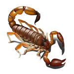 Scorpio - Live Wallpaper icon