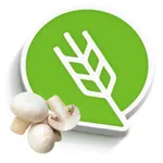 मशरूम लागवड #Agrownet™ icon