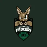 相模原プロセス 公式アプリ icon