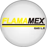 Medidores Flamamex icon