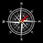 Digital Compass Simulator icon