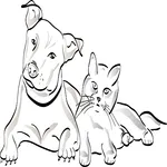 Geo icon