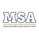 MSA 2020 icon