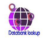 Databank Lookup icon