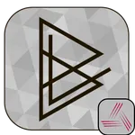 BL Audit icon