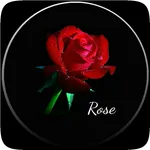 Rose wallpapers and background icon