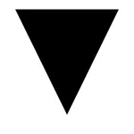 PROJECT VELOCITY icon