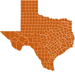 Texas Map Puzzle icon