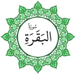 سورة البقرة بخط اليد الكبير icon