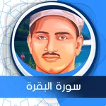 البقرة المنشاوي صوت بدون نت icon