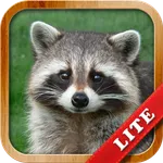 Animals for Kids icon