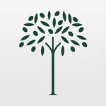 Euroville icon