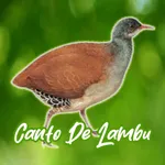 Canto De Lambu icon