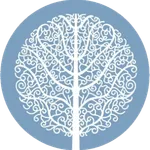 Luto Curitiba App icon