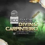 RDC Radio Divino Carpinteiro icon