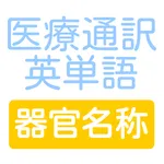 医療通訳の試験対策にも　医療通訳英単語　器官名称編クイズ icon