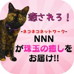 NNN-ネコネコネットワーク- icon