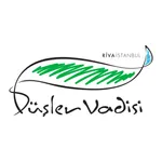 Düşler Vadisi icon