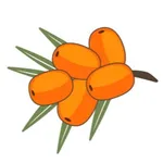 Облепиха icon
