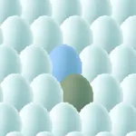 Egg Play icon