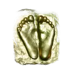 Stichting Abhay Charan icon