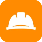 BORIS app icon