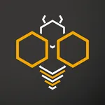 Bizzi-B Reports icon