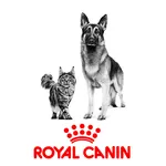 RC Pension & Hotel App icon