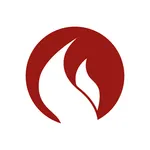 SSIS Incidenten icon