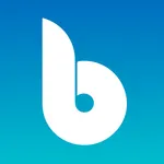 Blueye icon