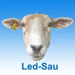 Ledsau icon