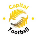 Capital icon