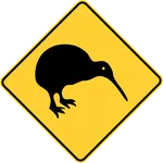 Kiwi Bug icon