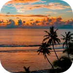 Relaxing Ocean Sounds: Sounds  icon