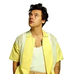 WAStickerApps - Harry Styles S icon