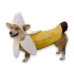 WAStickerApps - Pets Stickers icon