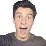WAStickerApps - Shawn Mendes S icon