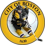 Boston Hockey - Bruins Edition icon