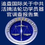 《追查国际关于中共活摘法轮功学员器官调查报告集》 icon