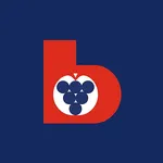 Beratungsring App icon