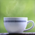 CashCafe - expenses & incomes icon