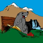 Fellicarolo icon