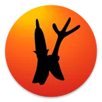 Tarrayt tan tidet en tamajaq icon