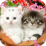Cute Baby Animals Pictures icon